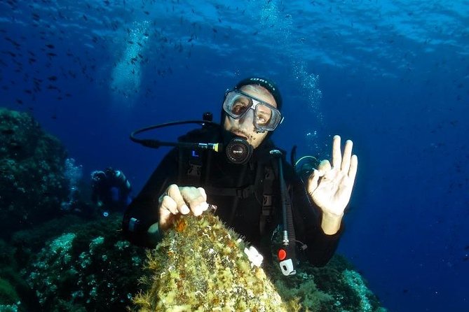 Try Scuba Diving - Good To Know
