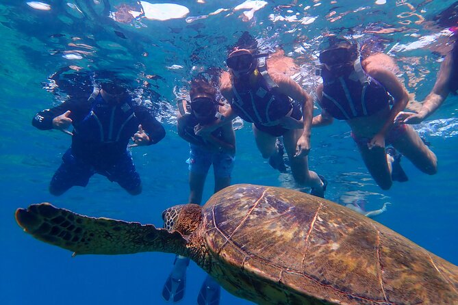 Turtle Town Beach Snorkel - Introduction