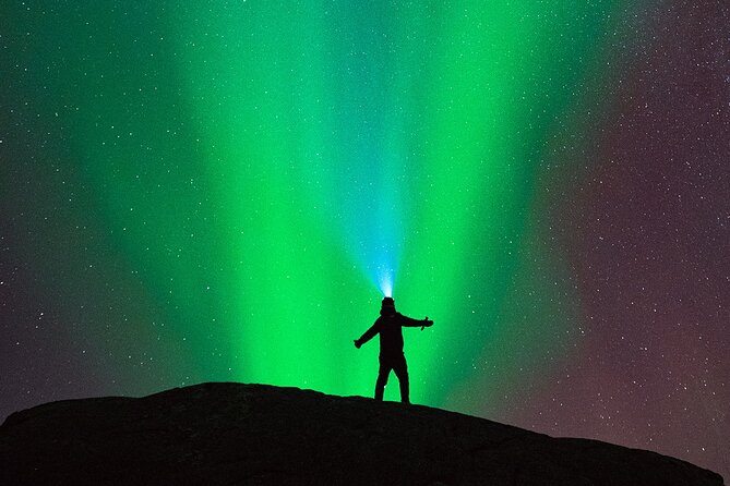 Ultimate Aurora Hunt Northern Lights Van Tour with Hot Drinks - A Flexible, Weather-Dependent Journey