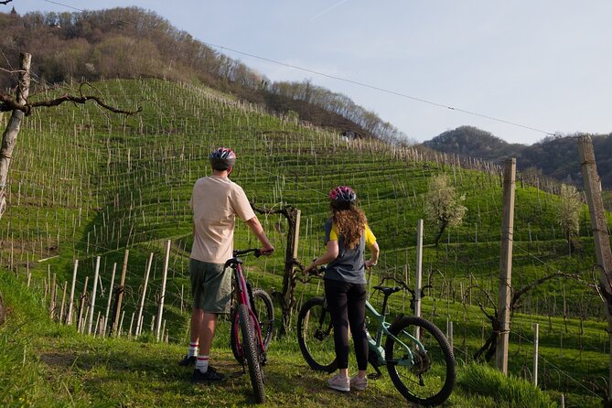 Valdobbiadene e-bike tour amongst vineyards UNESCO Prosecco Hills - Good To Know
