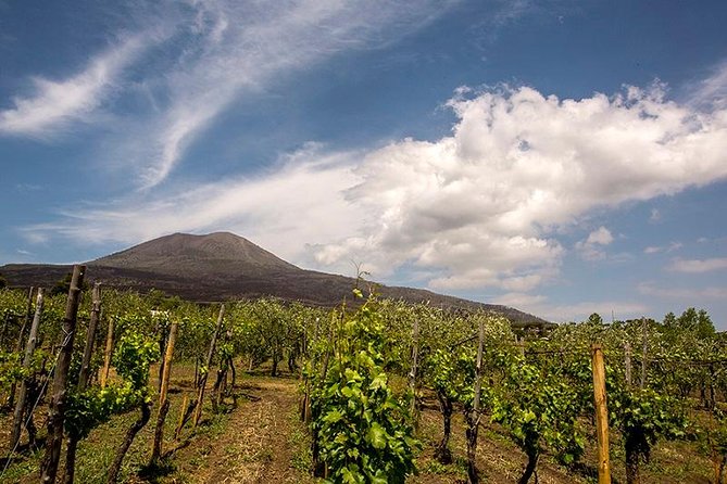 Vesuvio Gran cono + Wine Tasting & Lunch + Transfer from Naples - Good To Know  