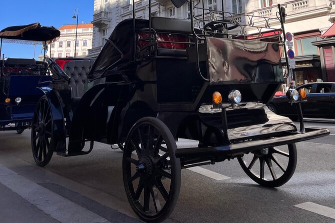 Vienna: 60 min. Royal E-Carriage Sightseeing Tour with Drinks - Good To Know