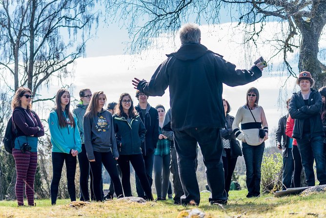 Viking History and Swedish Countryside Tour to Sigtuna & Uppsala - Analyzing the Experience