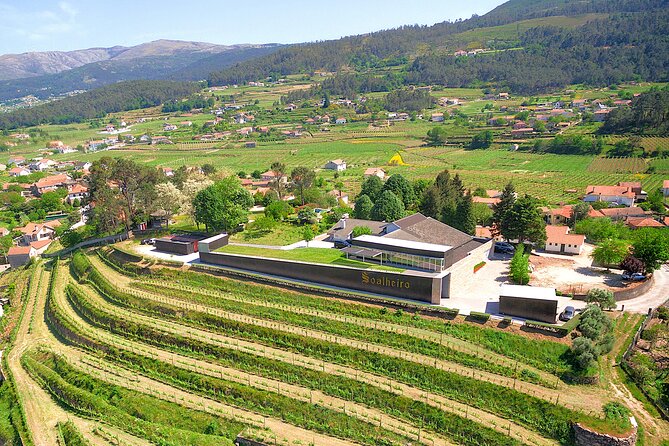 Vinho Verde Experience with 2 Wineries and Lunch - Good To Know