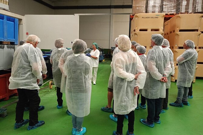 Visit and Gastronomic Experience of the Santoña Anchovy Factory - Good To Know