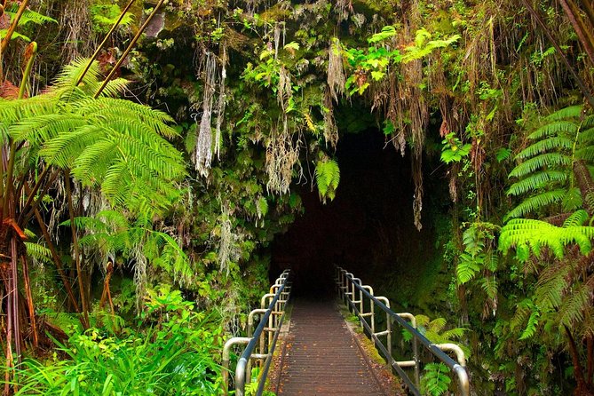 VOLCANO ISLAND - Rrecorrido in Spanish - Introduction