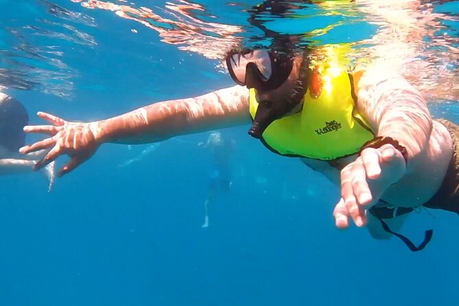 Waikiki Turtle Snorkeling Tour - Good To Know