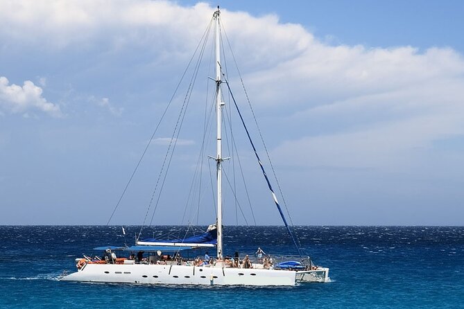Whale & Dolphin Watching in Tenerife (Puerto Colon) On a Large Catamaran - Good To Know