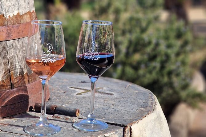 Wine and Tapas Tasting Tour from Alicante, Private Van - Good To Know