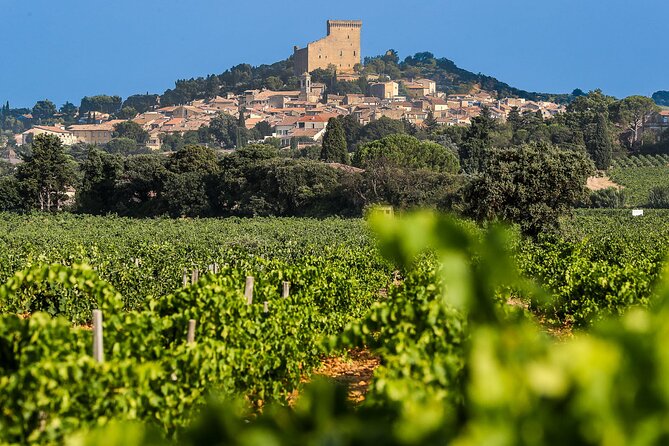 Wine Tasting Tour at Châteauneuf du Pape - Good To Know