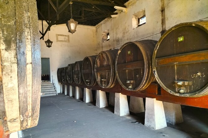 Winery, Tastings & 4WD Vineyards Ride, Half Day Trip from Lisbon - Good To Know