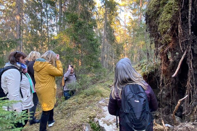 Wolf and Wildlife Tracking in Sweden - Wolf and Wildlife Tracking in Sweden: An Authentic Scandinavian Adventure