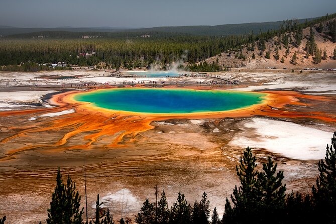 Yellowstone National Park Private Guided Tour - Full Day - Good To Know