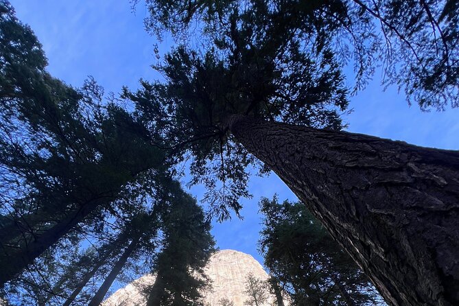 Yosemite Day Trip to 3 Waterfalls with Views from San Francisco - Good To Know