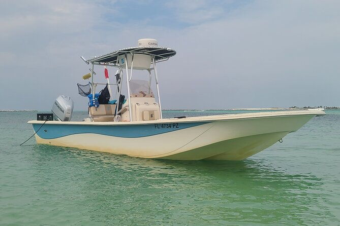 4 Hour Eco Dolphin Tour in Panama - Why Is It a Good Value?