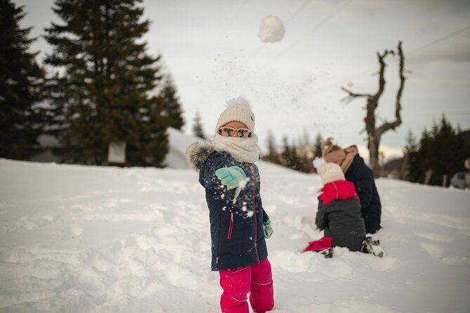 4 hour Vegas Winter Adventure: Mt. Charleston Snow Day - What Makes This Tour Special?