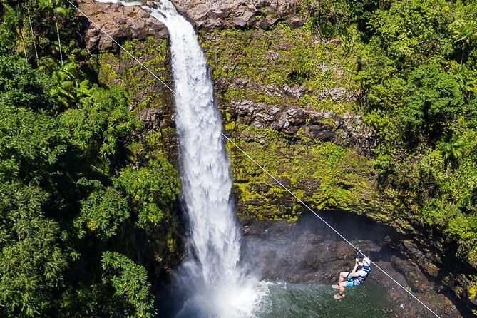 Big Island Zipline over KoleKole Falls w/ Hilo Cruise Ship Pickup - Detailed Breakdown of the Itinerary