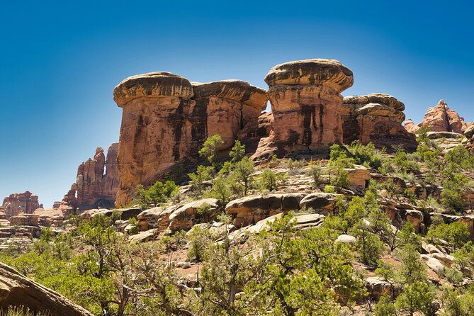 Canyonlands Full Day Private Tour and Hike - What’s Included and What’s Not