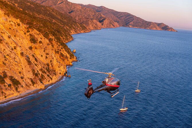 Catalina Explorer Helicopter Tour - A Deep Dive into the Catalina Explorer Helicopter Tour