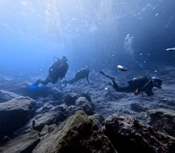 Chania | Try Scuba Diving | Private Introduction Dive - The Practical Details