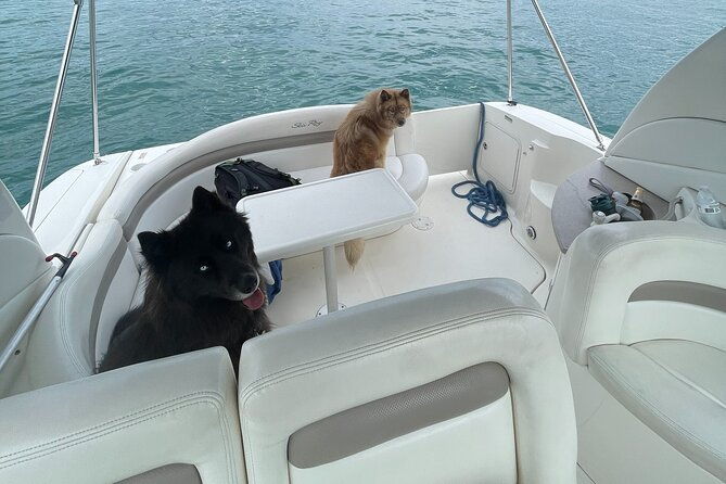 Chicago Private Boat Rental - Explore Chicago's Skyline & Waters - Booking & Practical Considerations