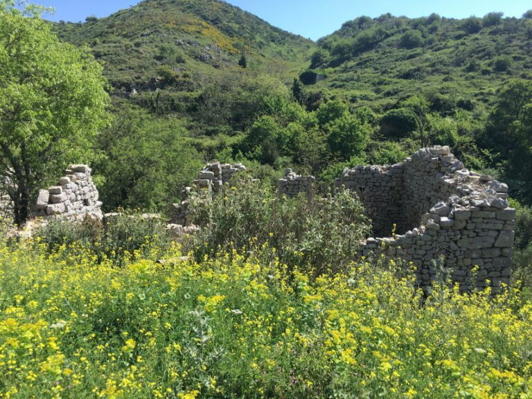 Corfu: Northwest Coast and Village Charms 4x4 Tour - Authentic Experiences That Stand Out