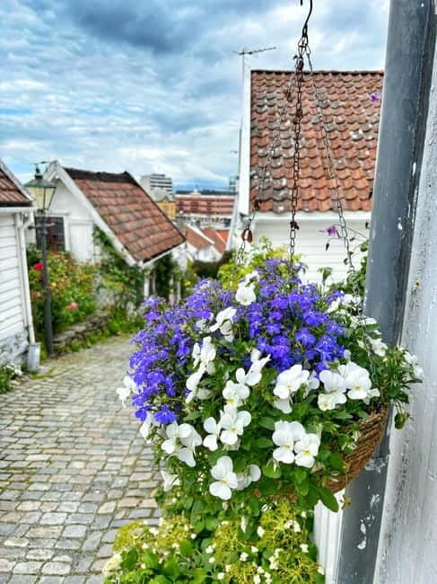 Discover Private+ Stavanger Guided City Tour - What to Expect: A Closer Look at the Itinerary  