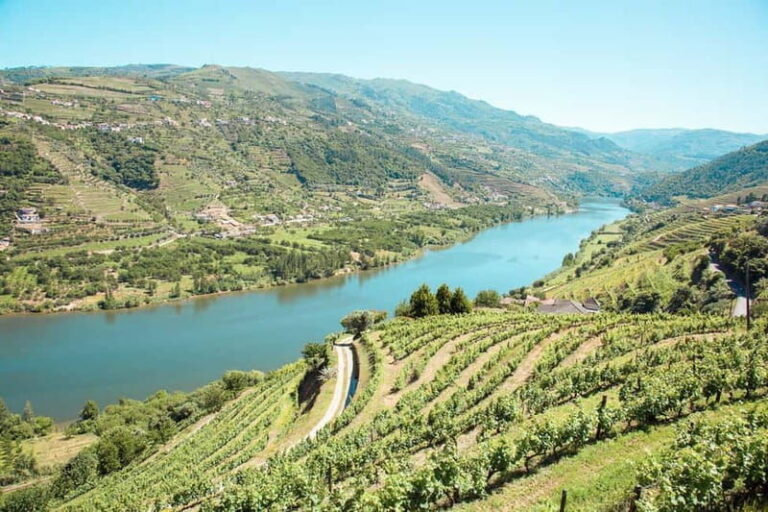 Douro Valley: Real Small-Group, Wine Tasting, Lunch & Boat - What Makes This Tour Stand Out?