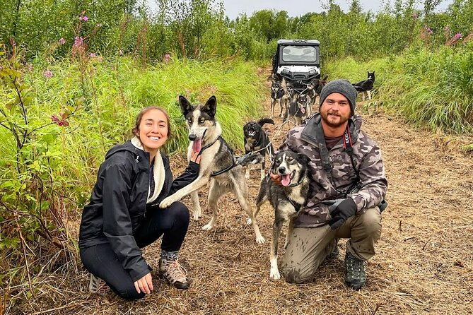 Dryland Dog Sled Tour - Final Thoughts: Is This Tour Worth It?
