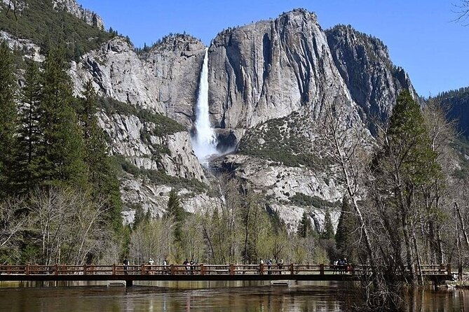 Enchanting Full Day Yosemite National Park Tour from Oakland - The Scenic Journey to Yosemite