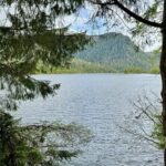 Explore Tongass National Forest on Connell Lake Trail Hike - Why This Tour Is a Great Pick