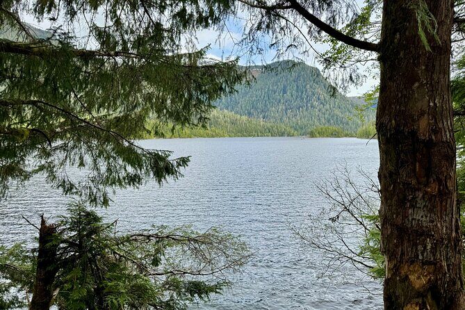 Explore Tongass National Forest on Connell Lake Trail Hike - Why This Tour Is a Great Pick