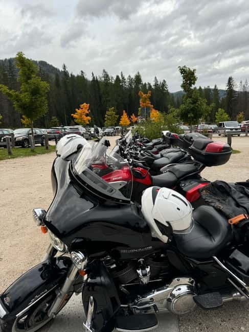 From Milan: Harley Davidson motorcycle tour in 5 countries unique experience! - The Motorcycle and Support