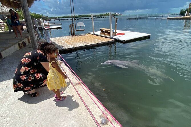 Full day tour of The Florida Keys - Key Largo Islamorada Key West - Iconic Seven Mile Bridge
