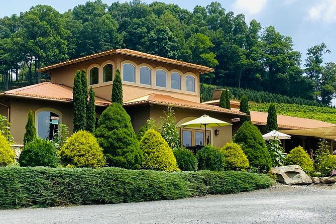 Grandfather Mountain Private Wine & Dine Tour from Asheville - The Transport & Group Size