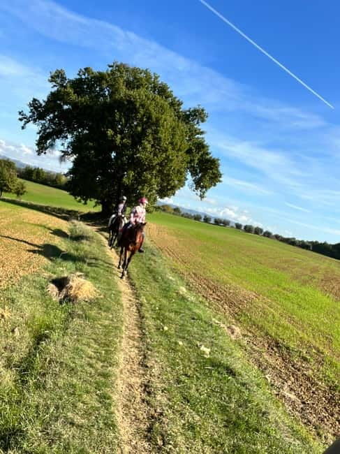 Horseback Ride in Tuscany with Lunch in da Vincis Land - A Deep Dive Into the Experience