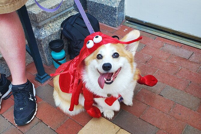Howl O Ween Doggy Costume Party Cruise - Why This Cruise is a Great Value