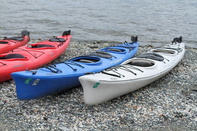 Inside Passage Sea Kayaking in Haines - The Sum Up