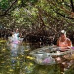Key West Kayak Eco Tour | An Eco-Friendly Adventure Awaits! - FAQs