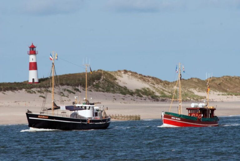 List/Sylt: Guided Seal-Watching Cruise on a Rustic Boat - Practical Details and Value