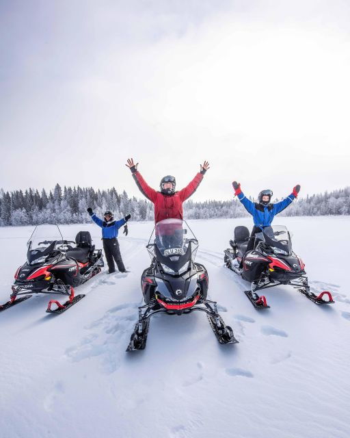 Luleå : Snowmobile - Forest and Ice Nature Tour 2h - Exploring the Snowmobile Forest and Ice Nature Tour