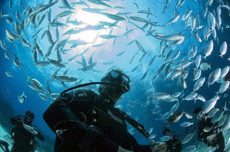 Malta: 1-Day PADI Scuba Diver Certification Beginner Course - The Practical Details