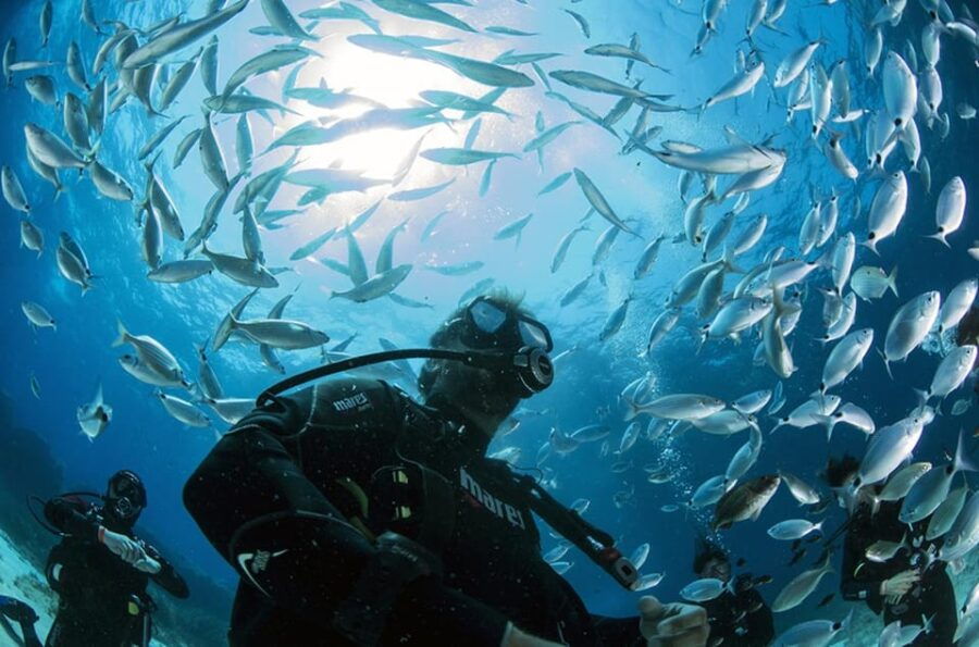 Malta: 1-Day PADI Scuba Diver Certification Beginner Course - The Practical Details