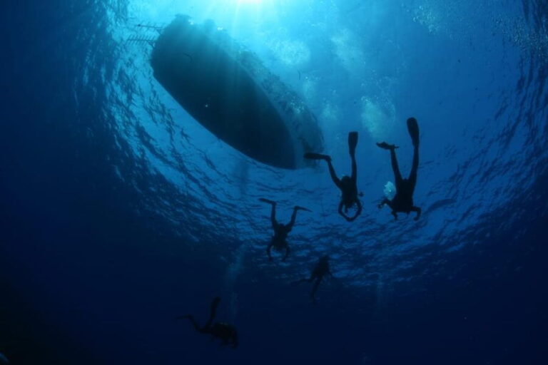 Malta: Boat Dive Trip for Certified Divers - What to Expect from the Tour