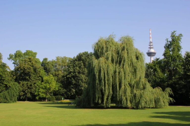 Mannheim, guided park tour: Luisenpark - FAQ