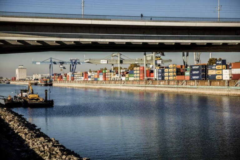 Mannheim, guided walking tour: Industrial culture at the commercial port - Authentic Experiences and Insights from Reviewers
