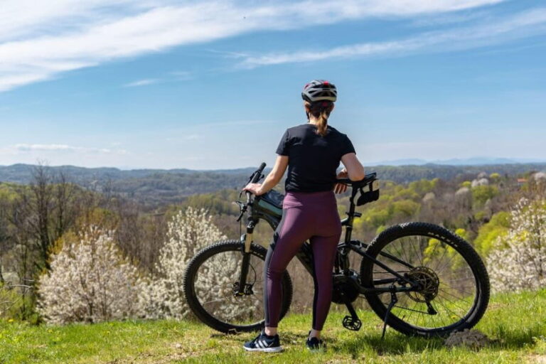 Marija Bistrica: E-bikes to the Wineries of Zlatar City - Scenic Lookouts and Nature