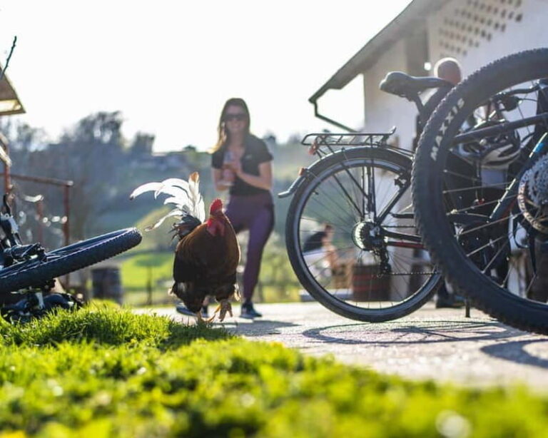 Marija Bistrica: To Gornja Stubica by Bicycle - An In-Depth Look at the Tour Experience