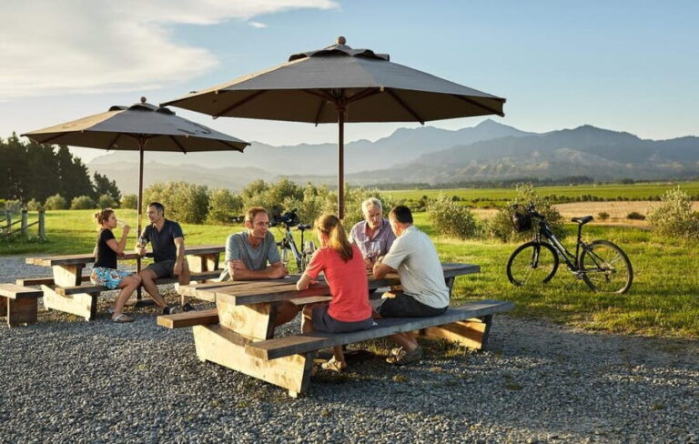 Marlborough: Full-Day Self-Guided Biking Wine Tour - Winter and Rainy Weather Support
