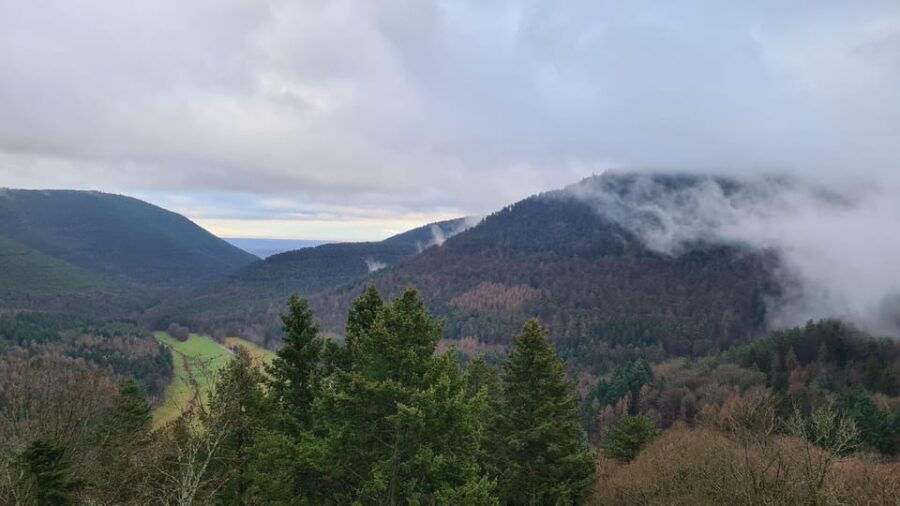 Meistersel Castle: adventure tour of the medieval castle - Practical Details and Tips